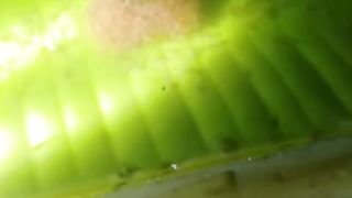 Mau tau salah satu FUNGSI DAUN PISANG❓ Tonton video ini ????