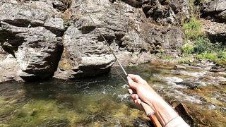 Not sure which is prettier - stream or trout?