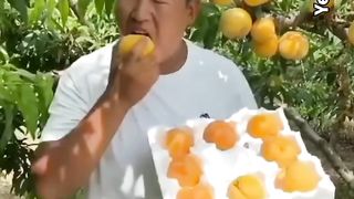 Fresh fruits