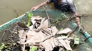 Eel Catch