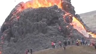funny videos of Pja