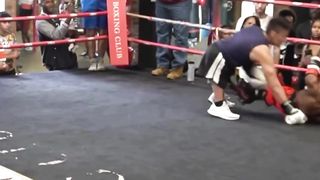 funny videos of Pja