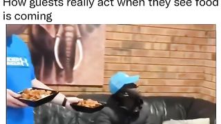 Try Not to Laugh Challenge