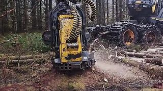 _harvester _ponsseskorpionking _ponsse _work _pracawlesie