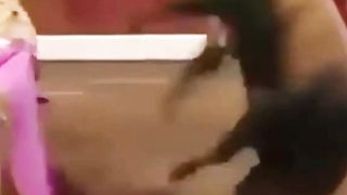 Matador Menaklukan banteng