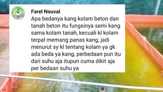Perbedaan kolam FULL TANAH vs kolam TANAH SEMI BETON vs KOLAM FULL BETON