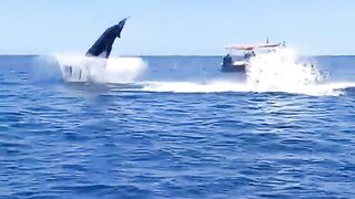 Ohhhhhh!! My God Whale