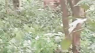 Dog is shouting calling owner