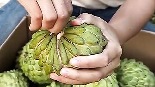 What's this fruit called?