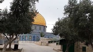 Holy land