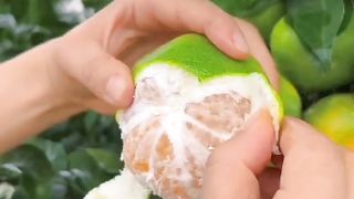 Fresh fruits