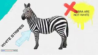 Amazing facts in HindiShort videos Factology Random रोचक