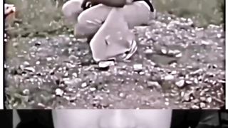 funny funny videos