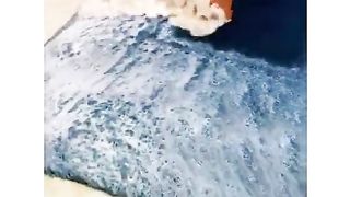 ASMR Rug Cleaning Video #asmr #satisfying #trending