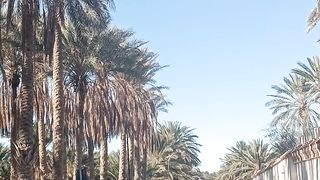Douz le sud tunisien