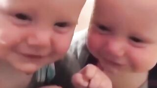 Top video of funny and cute twin babies