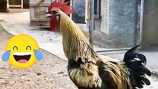 ????????????
