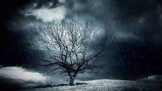 WINTERBORN Through Different Eyes