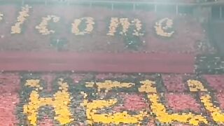 Best Fans Performances