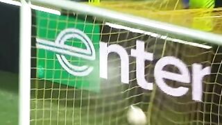 Satisfying Goals