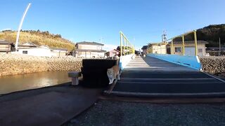 vlog by cat islands