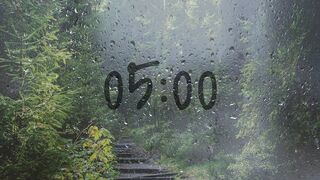 5 Minute timer with rain sounds (relaxation video)