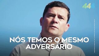 O cão arrependido
