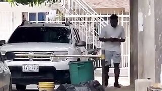 Funny they were surprised and very frightened with dog checking