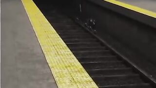 The rats are evolving!