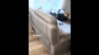 funny cats