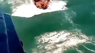 para nelayan melawan ombak yang besar di laut