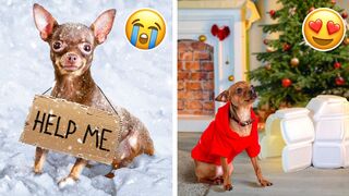 FANTASTIC HOLIDAY ROOM MAKEOVER???? || Little Elf Made Awesome DIY Crafts