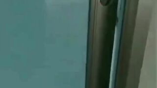 Dog funny
