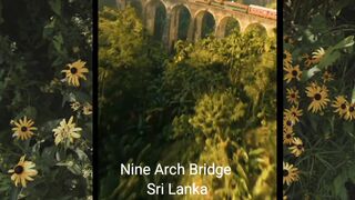 Nine Arch Bridge - Sri Lanka
