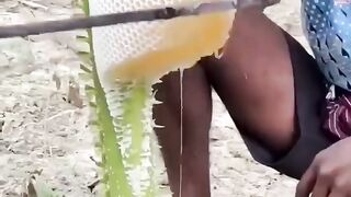fresh honey