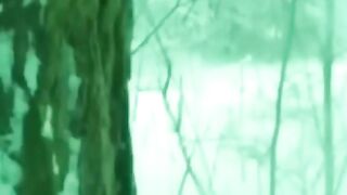 Волк отомстил, но сделал это без единой капли крови***