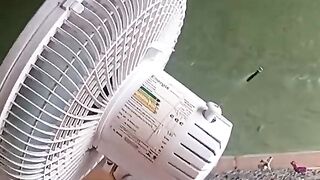 Odorize the house (Lifehack)