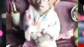 monkey behavior that wants to be pampered