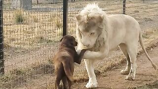 Being friends doesn't have to be same