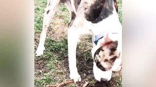 Fails Of The Week - A Good Time