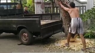 beginilah cara orang kreatif saat menaikkan kayu besar keatasmobil