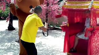 Funny video _ Funny Bear