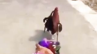 Karvon koʻrdim xoʻrozlar qalab kelar