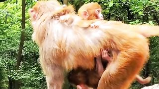 It's hard to look after two children