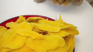 Food Lover Cat Viral Video