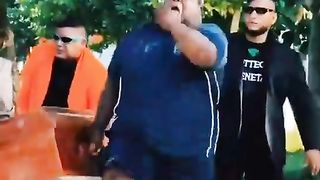 Funny videos