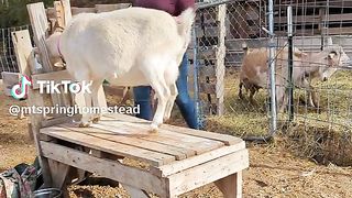 Test Video