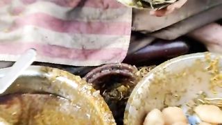 ???? Kolkata Viral Chhangani Club Kachori.... #debojyotivlogs #newinkolkata