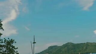 Mangrove