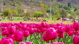 Best_time_for_visit_Kashmir